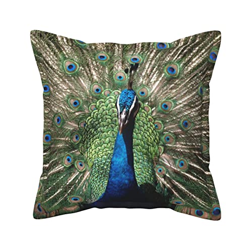Housse de coussin paon similicuir carrée pour salon et canapé