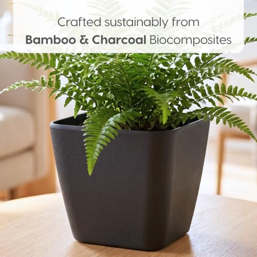 Image of Eha Earth-Friendly Daisy 9 inch Pots and Planters Made with Rice Husk, Set of 2