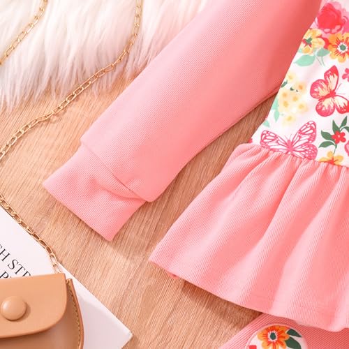 Image of Little Girls Clothes Sets - Cute Sweatshirts Top Shirt & Leggings 2 Piece Kids Fall Winter Outfits Toddler Clothing
