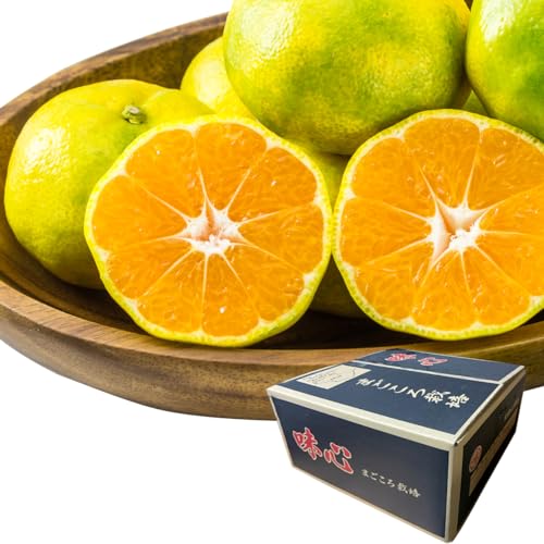 [ PLATA ] ݂ a̎RY lCi  瑁݂  ŏ㓙 ԏGi ZȖ킢 Â݂ Mtg p y 10kg (110`115) z