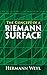 The Concept of a Riemann Surface (Dover Books on Mathematics)