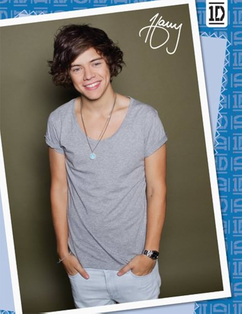 ONE DIRECTION オフィシャルブック Amazon.co.jp: Official One Direction Poster Book : 洋書