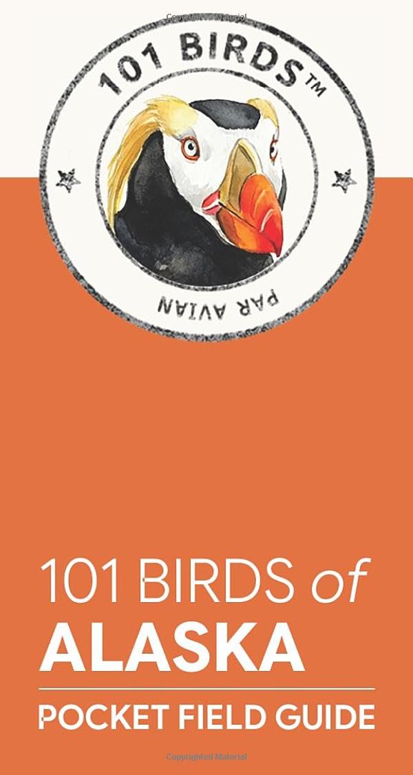 101 Birds of Alaska: Pocket Field Guide (101 Birds Pocket Field Guides)