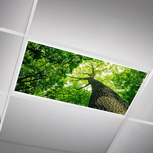 SCWISOAS Fluorescent Light Covers for Ceiling Lights -Magnetic Cloud Cover