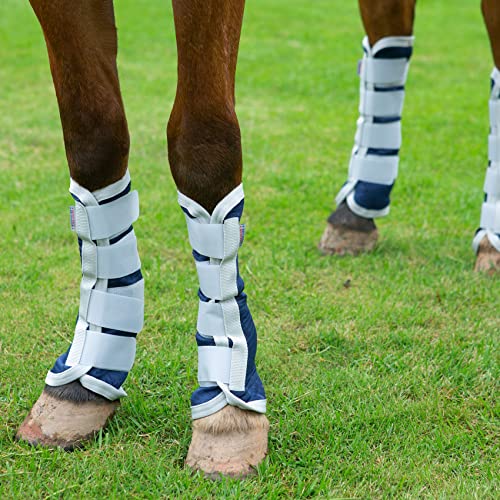 Top 10 Best Leg Protection For Horses Reviews & Buying Guide Katynel
