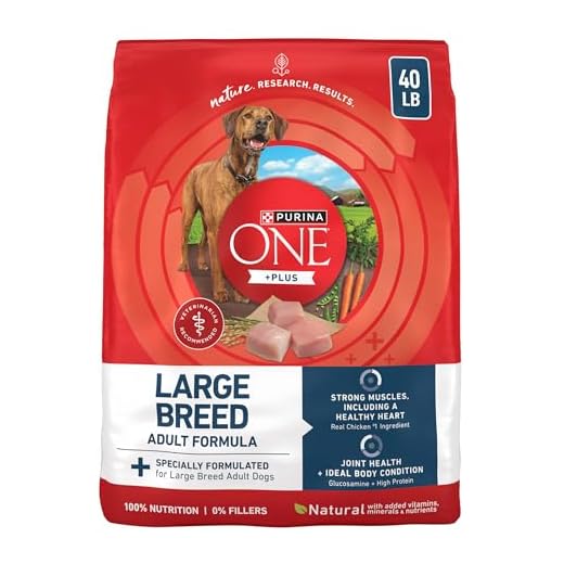 Purina ONE Plus Large Breed Adult Dog Food Dry Formula, Real Protein Rich Natural Chicken Flavor - 40 lb. Bag