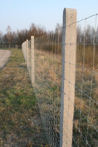ITALFROM Rotolo 50mt Recinzione Rete Metallica Pastorale -a Maglia Annodata Zincata- Maglia: 9X15 -Diametro Filo:mm1,9/2,5 - Altezza Rete: 120 cm [cod.2228]