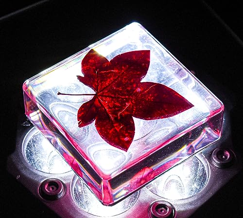 Image of 38mm Real Red Maple Leaf in Crystal Clear Lucite Resin Specimen Botanist Herb Herbarium Crafts Collection for Botany Science Education & Desk Ornament Display Small Paperweight