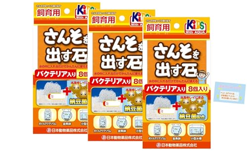 񂻂o oNeA 8 dCsgp vP[X ^ {gANAE y3Zbgz