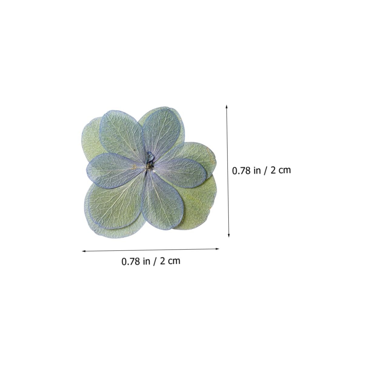Zerodeko 5 Sätze Gepresste Ausstecher Mit Prägung Prägeausstecher Gefälschte Blumen Getrocknete Blumenarrangements Kleine Trockenblumen Für Harz Blumen Für Harzformen 30 Stück * 5
