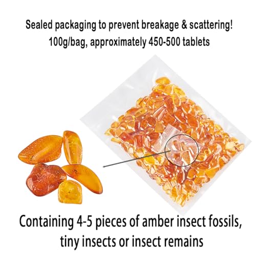 Image of Baltic Amber Natural Fossil Insects,Insects from Millions of Years ago,True Insect Samples-Science Classroom Science Education Animal Specimens (100g Amber, 5 Pieces with Fossil Insects)