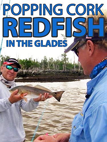 Clip: Popping Cork Redfish in the Glades