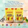 Birds LOVE All Natural Garden Blend Bird Food for Small Birds - Lovebirds, Cockatiels, Parakeets and Parrotlets 2lb