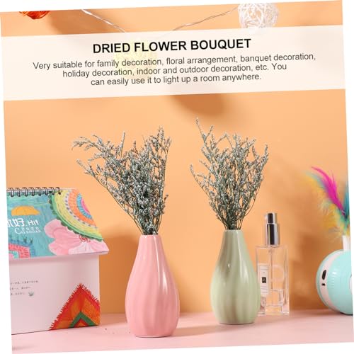 Ramo de flores secas Gypsophila para decoración miniatura 4