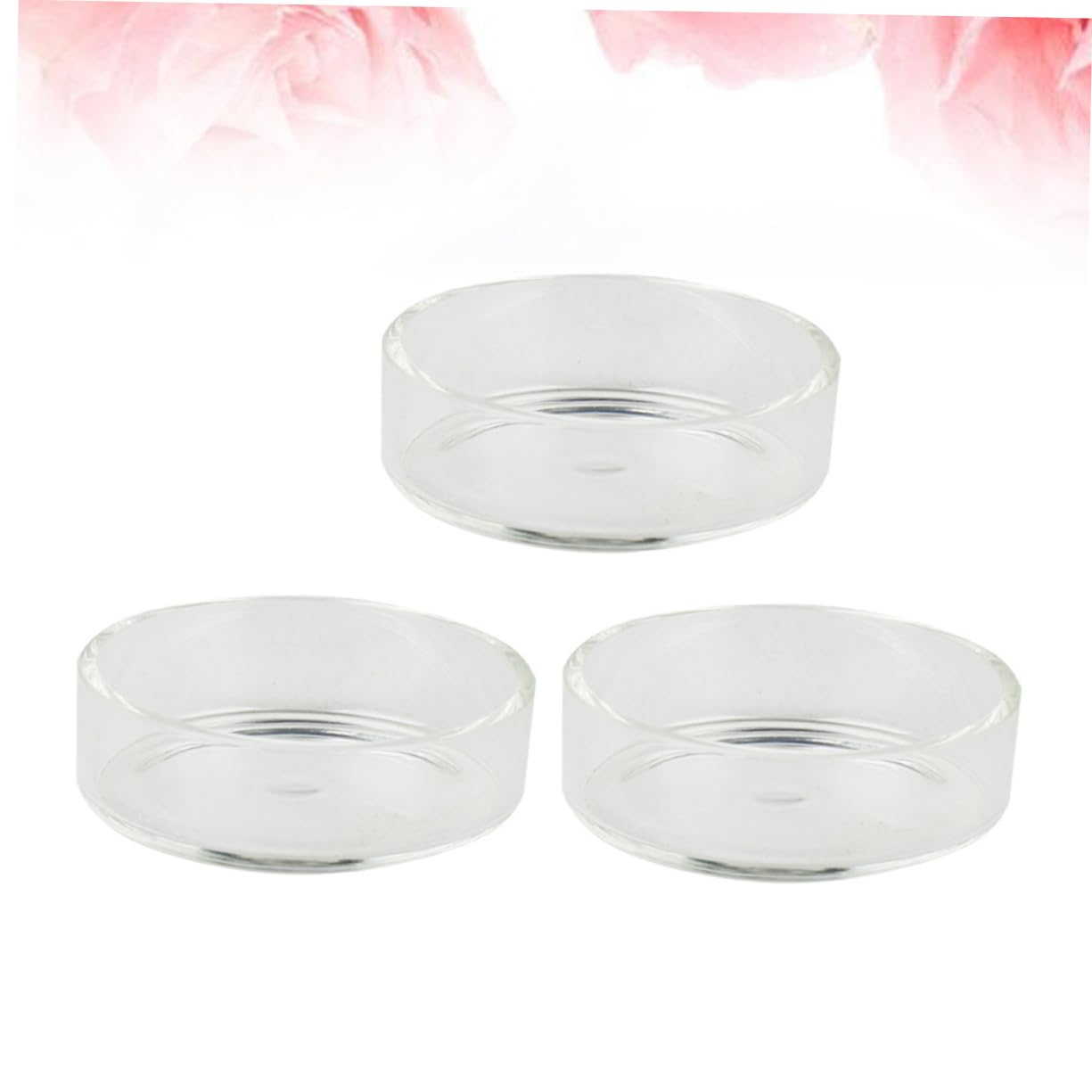 Didiseaon 2 Juegos de Cuencos Redondos de Vidrio para Camarones Comederos para Camarones Suministros para Acuario Adornos de Cristal para Tanque de Camarones 5 Piezas
