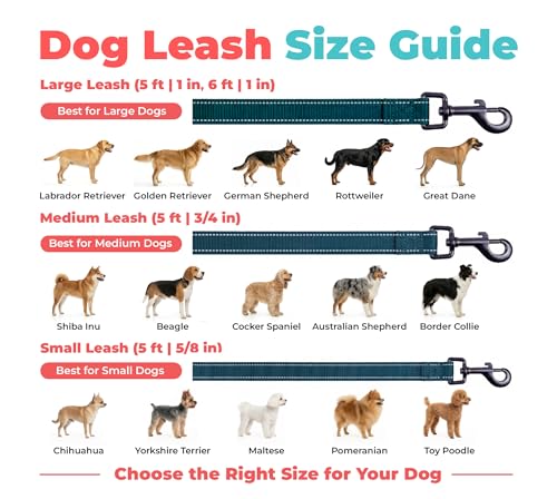 Image of Best Pet Supplies Voyager Reflective Dog Leash or Collar with Neoprene Handle, for Small, Medium, and Large Breed Puppies, Cute and Heavy Duty for Walking, Running and Training - Blue (Leash), S