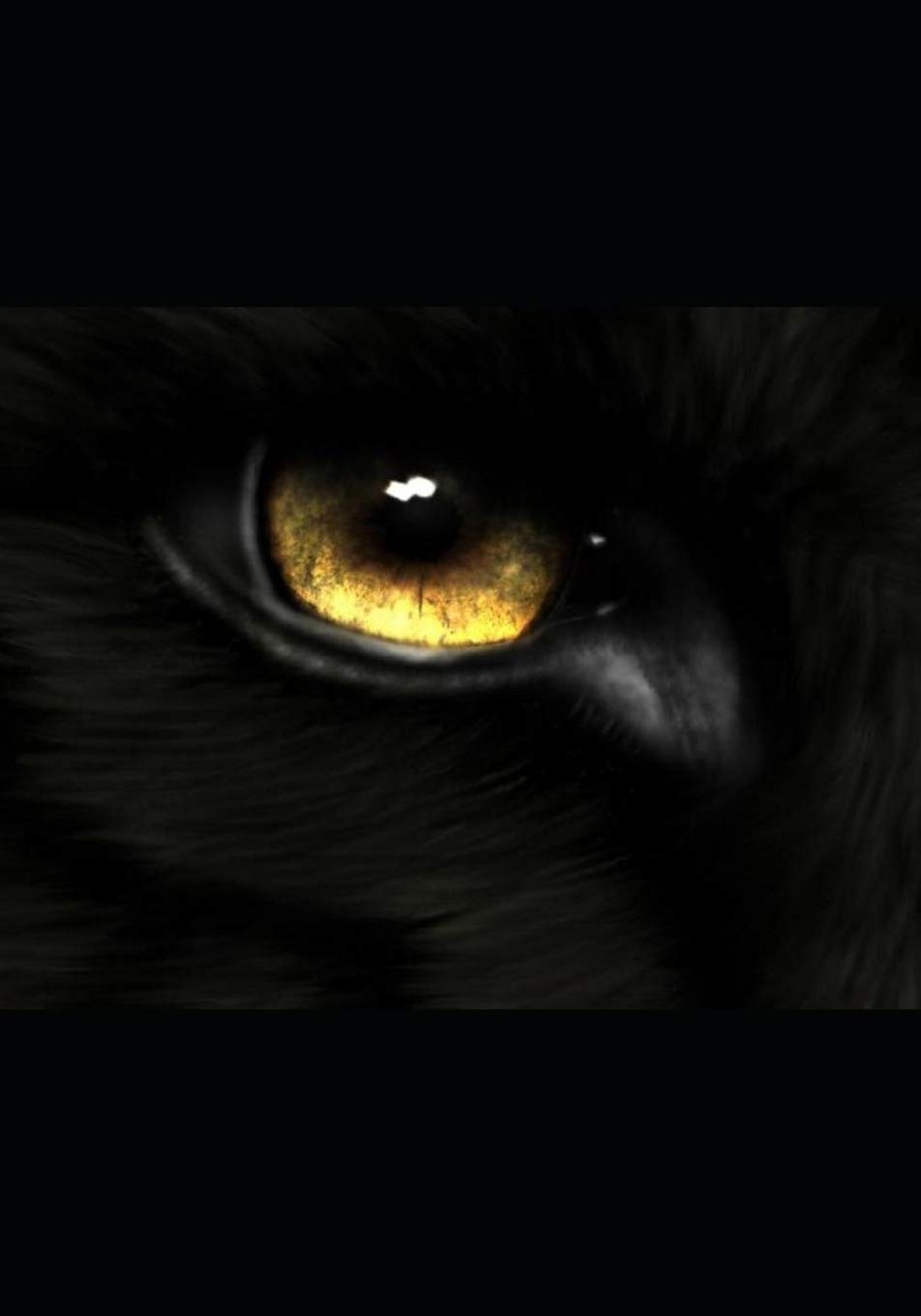 Wolf: Resolutions: Book 7 of the WOLF Series.