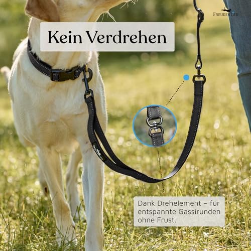 FREUDENTIER Umhängeleine Hund - Hundeleine 3m zum Umhängen, stufenlos verstellbar - Leine für kleine, mittelgroße & große Hunde (Schwarz, 3m)