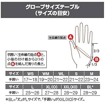 Goldwin ブラック レザー グローブ サイズ3 Amazon | Goldwin(ゴールドウイン) グローブ ライディング