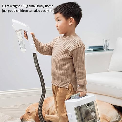 Banktapijtreinigingsmachine, laat uw huis er gloednieuw uitzien! Reinigingsmachine Zuig geïntegreerd - Image 7