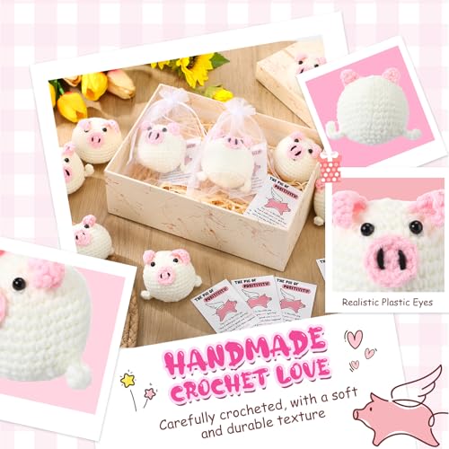 Image of HyDren 12 Sets Emotional Crochet Animal Encouraging Handmade Crochet Gifts Collectible with Positive Card Organza Bag for Valentine Employee Coworker Volunteer (Pig)