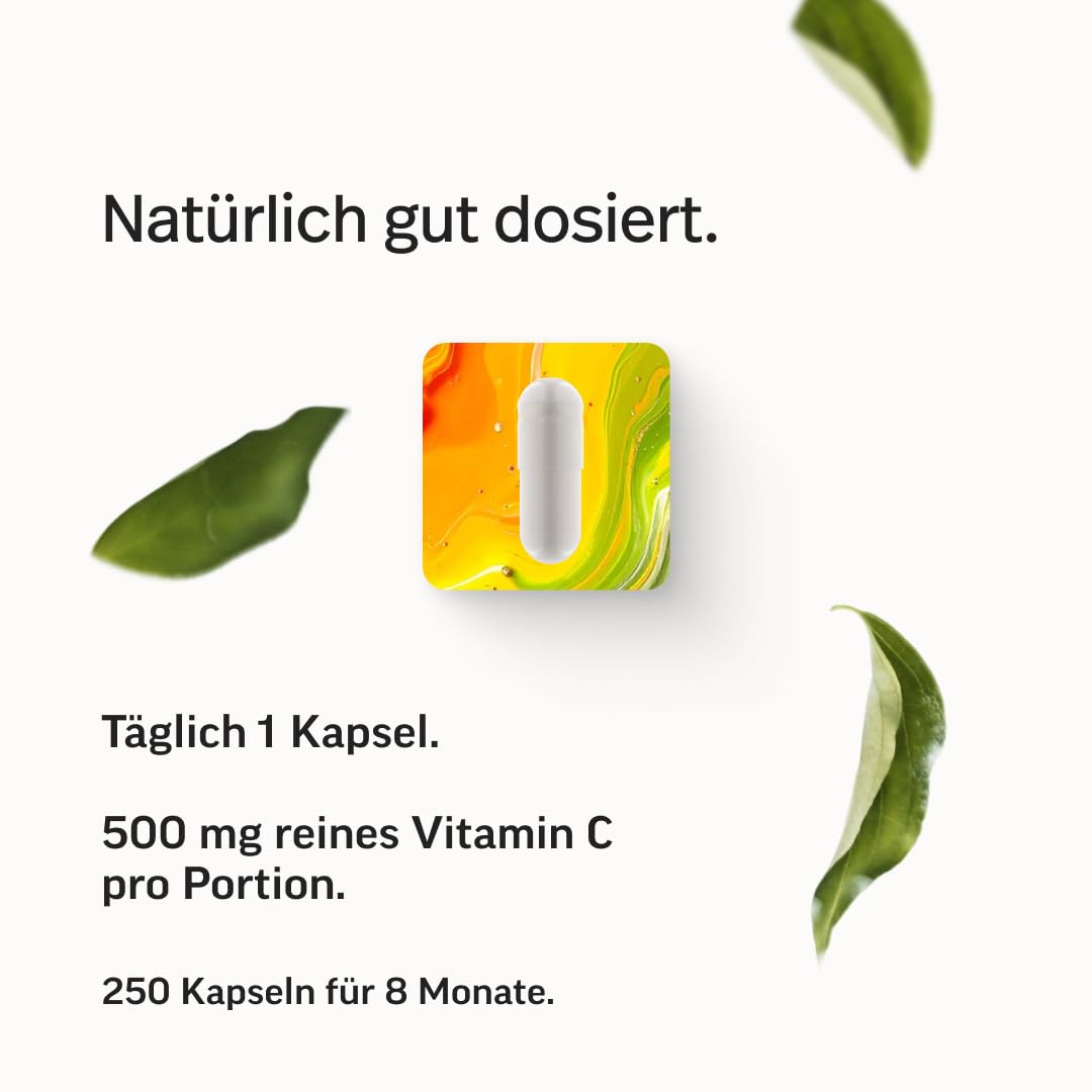 edubily® Vitamin C Kapseln 500 mg - Vitamin C Komplex aus gepuffertem Vit. C als Calciumascorbat und fettlöslichem Vit. C als Ascorbylpalminat (250 Kapseln)