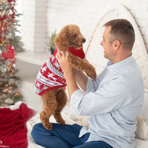 2 Stück Pullover Hund klein,Hundepullover,Weihnachten Hundepullover,Haustier Hund Katze Pullover,Hundekostüm Weihnachten für Kleine Hunde und Katzen,Winter Warmer Weihnachtspullover