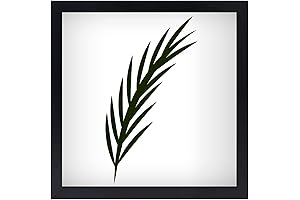 Classic Simplicity - 10x10 Picture Frames in Black for Cherished Memories