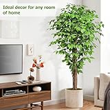 Keeplush 6.2ft Ficus Artificial Trees with 3 Natural Curved Trunks, 74" Tall Lush Faux Tree for Home Decor Indoor, Green Lifelike Fake Ficus Tree Artificial Plants - Image 4