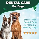 Vet's Best Hunde Atemerfrischer