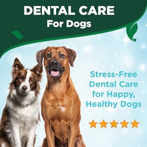 Vet's Best Hunde Atemerfrischer