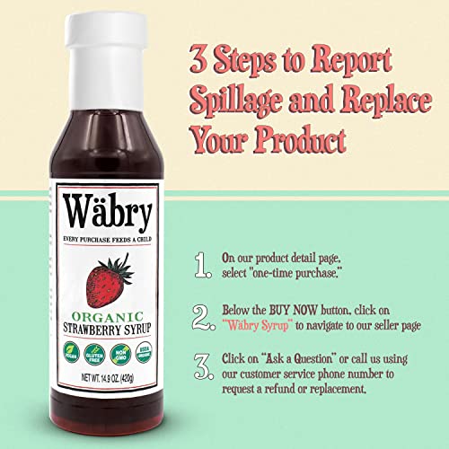 Wäbry Organic Fruit Syrup – 3 Pack Incl. Strawberry, Blueberry And Peach Syrups For Drinks, Pancakes, Tea, Shaved Ice & Ice Cream, Vegan, Non-Gmo Natural Fruit Snow Cone Syrup, Bpa-Free Plastic Bottle #TOP5
