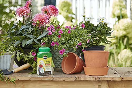Image of Miracle-Gro Shake 'N Feed Rose & Bloom Plant Food, 4.5 lb