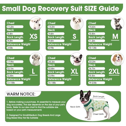 Image of BRKURLEG Small Dog Recovery Suit After Surgery Female Male, Back Zipper Spay Recovery Suit for Dogs & Cats, Anti-Licking Puppy Surgical Onesie for Abdominal Wound, Cone Alternative, Green S