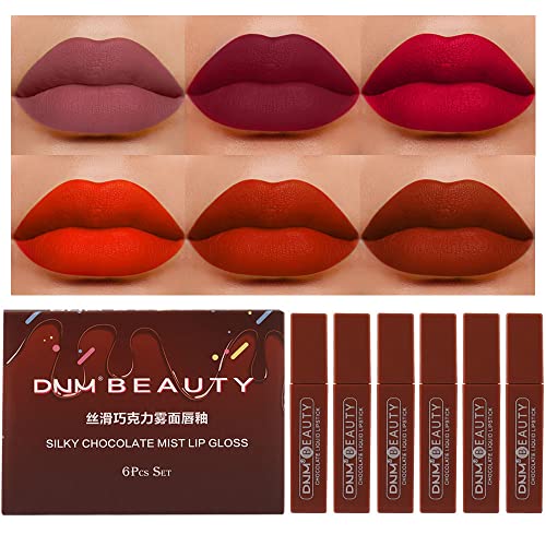 6Pcs Silky Chocolate Matte Lip Gloss Liquid Lipstick Set Lip Stain Makeup,DNM Waterproof Dark Red Stay on Matte Matt Lipstick Sets for Women Matt Liquid Lippies labiales matte larga duracion 24 Set01
