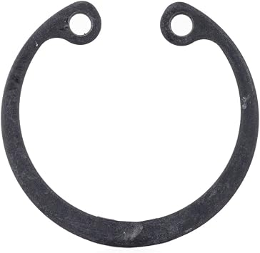 Bosch Parts 2916660008 Ring