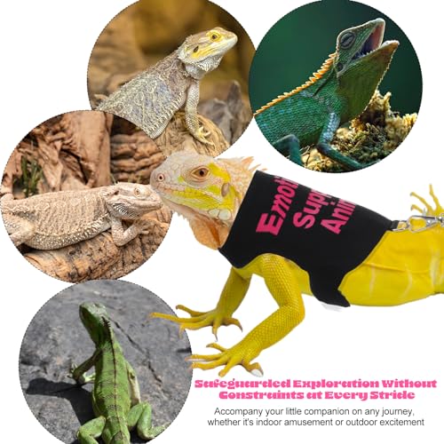 Image of Bearded Dragon Leash and Harness Set, Adjustable Polyester Harness with 4.76ft Leash for Outdoor Walking, Leashs for Bearde Dragons Perfect Bearded Dragon Starter Kit, Pink & Black