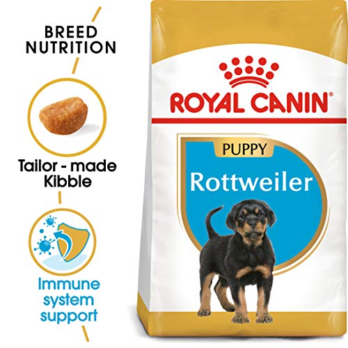 Royal Canin Rottweiler 31 Junior 3 kg, 1er Pack (1 x 3 kg)