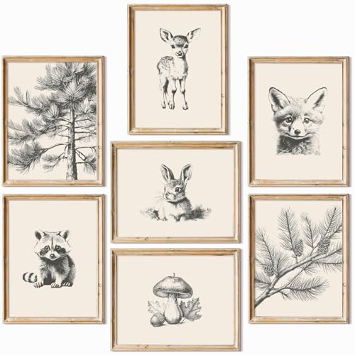 Image of Nursery Wall Art Woodland Animal Canvas Wall Decor Baby Room Pictures Forest Animal Prints Kids Wall Art Pine Tree Poster Nature Vintage Artwork Deer Fox Painting for Bedroom 8x10x7 Inch Unframed