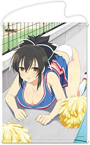 Amazon 閃乱カグラ Newwave Gバースト B2タペストリー 飛鳥 チアガールver アニメ 萌えグッズ 通販