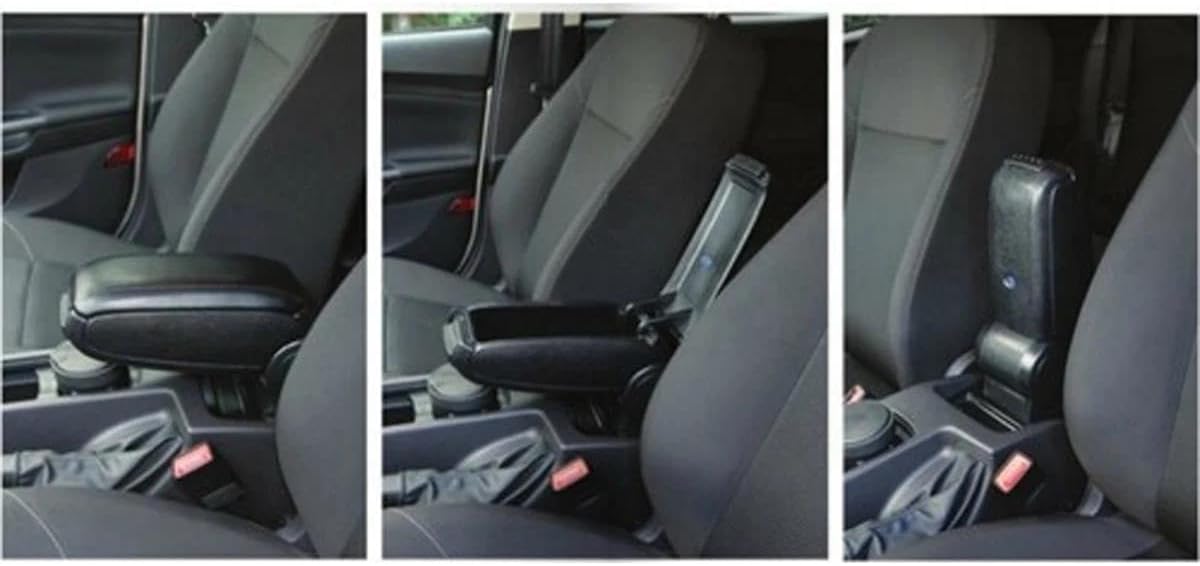 kiyata ランプ ブラサガリクマ