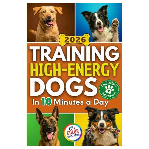 Training High Energy Dogs: Transform Active Breeds Like Border Collies, Labs & Shepherds in 10 Minutes a Day With Easy Routines, Brain Games & Proven Methods for Calm Obedience, Focus & Fulfillment