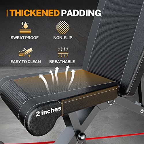 Weight Bench Set with Leg Developer