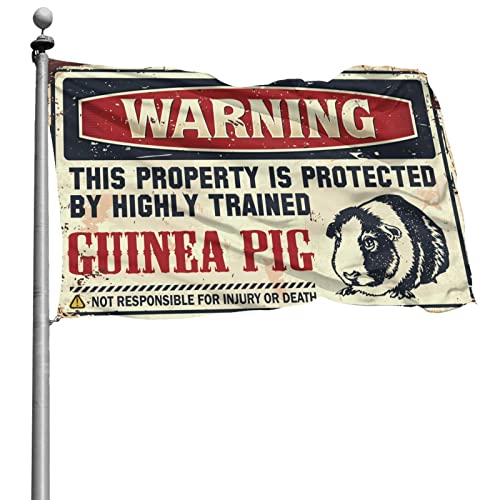 Drapeau cochon d'inde Abipuir idée cadeau originale 152x244 cm pour anniversaire ado