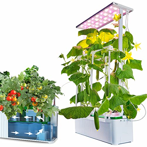 Find The Best Hydroponic System For Tomatoes Reviews & Comparison Katynel