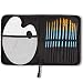 CONDA Artist 12 Pcs Paint Brush Set and Palette with 12 Brushes & Carrying Case for Watercolor Oil Acrylic Painting