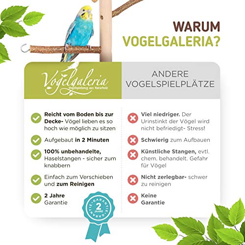 Kamerhoge vogel-klimboom 208-210 cm HiFly Basic met zitstokken van natuurlijk hout, vogelspeelgoed, vogelschommel… - Afbeelding 8