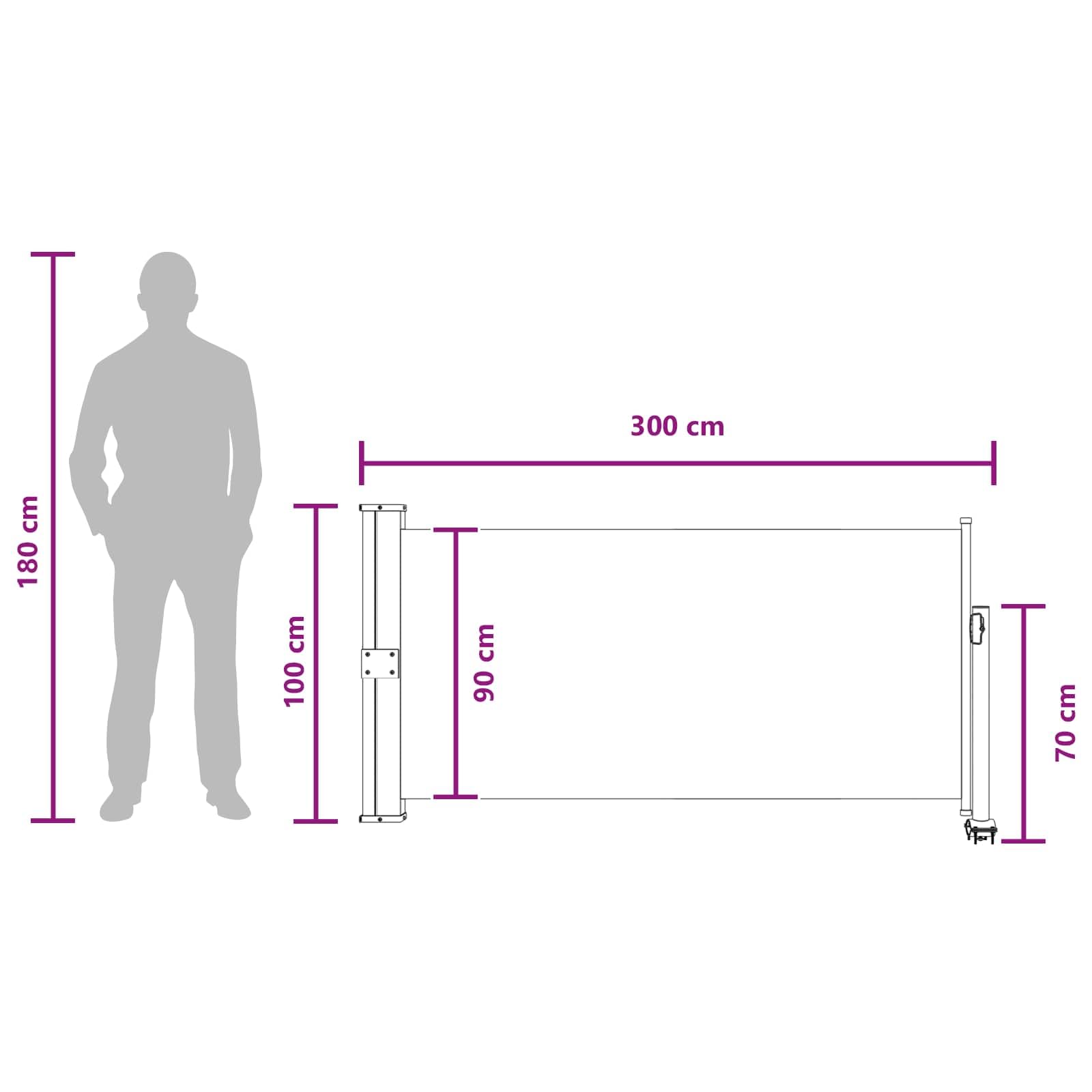 Chowany markiza boczna 100 x 300 cm poliester żelazo