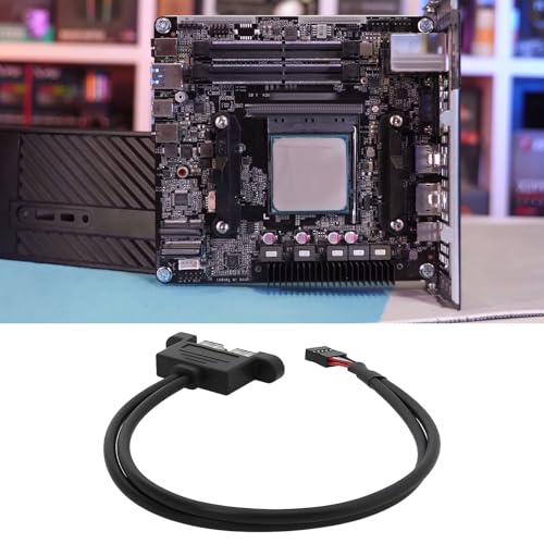 Be In Your Mind 2 STÜCKE 9-Pin auf Dual USB 2.0 Ports Zusätzliches Kabel 0,3 M Kompatibel mit ASRock DeskMini Motherboard – Ansicht 2