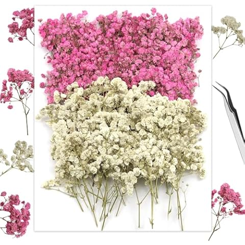 GZGXKJ Fleurs Séchées Gypsophile 120pcs Cover